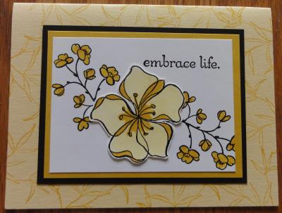 2013 EasterCard