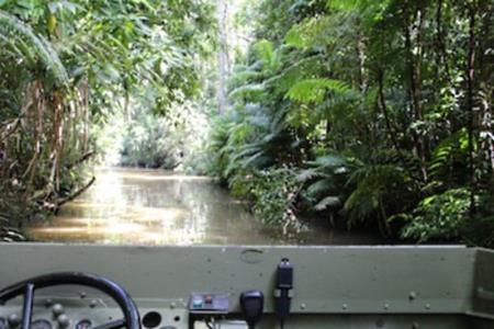Ducks Kuranda 1929