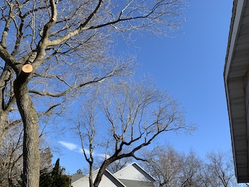 that is my roof!